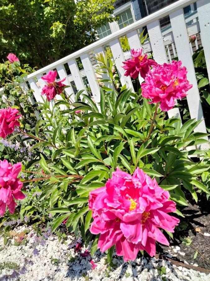 An English Garden Dennisport Exterior photo