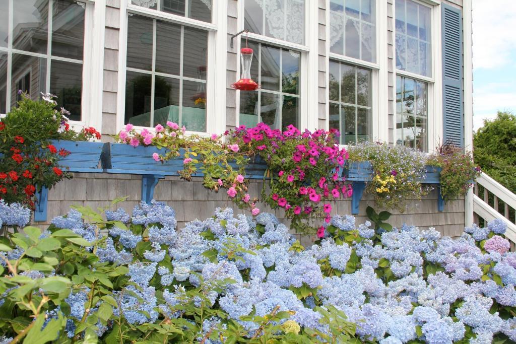 An English Garden Dennisport Exterior photo